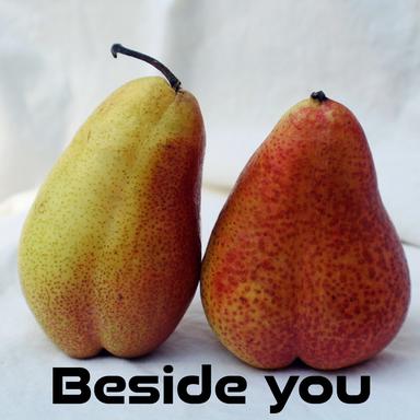Bepp - With Melody