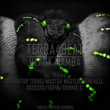 Black Mamba - Original Mix