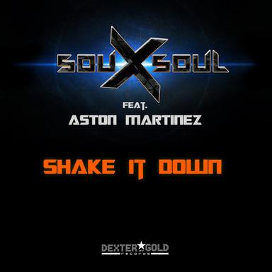 Shake It Down - Radio-Edit