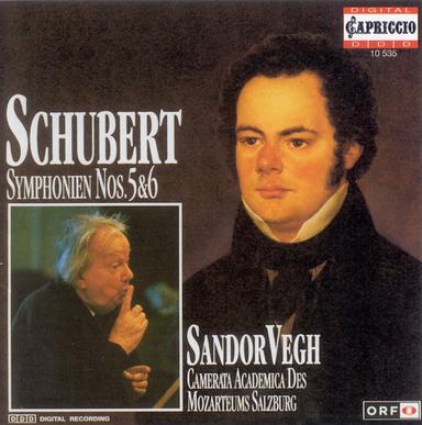 Symphony No. 5 in B-Flat Major, D. 485: I. Allegro