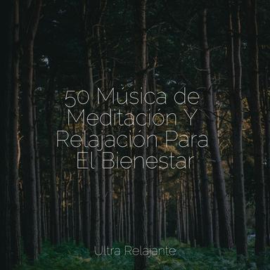Perdido en El Zen
