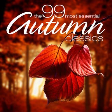 Symphony No. 3 in F Major, Op. 90: III. Poco allegretto