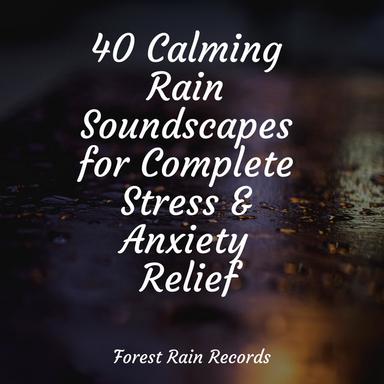 Soothing Beach Ambience (Gentle Waves)