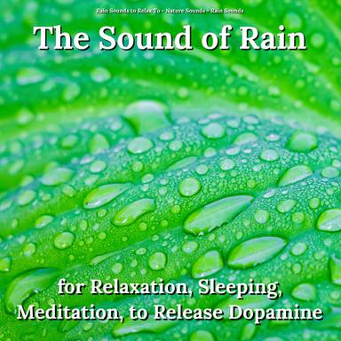 Rain Sounds to Relax