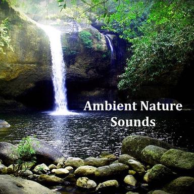 Spa and Yoga Rain Sounds