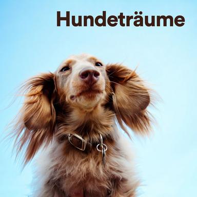 Ein Spaziergang im Park