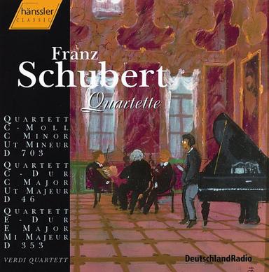 String Quartet No. 4 in C Major, D. 46: II. Andante con moto