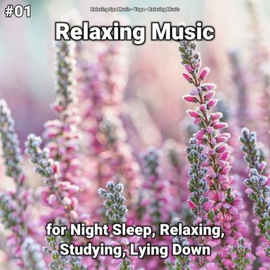 Meditation Music for Stress Relief