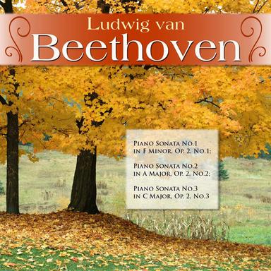Piano Sonata No.1 in F Minor, Op. 2, No.1: I. Allegro