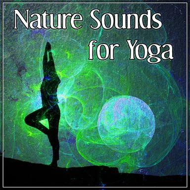 Yoga Meditation