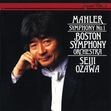 Symphony No. 1 in D: 2. Kräftig bewegt
