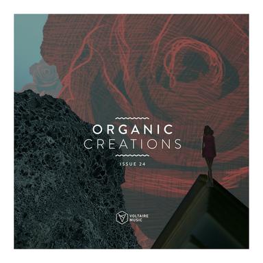 The Bitch - Original Mix