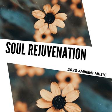 Seek Some Joy - Original Mix