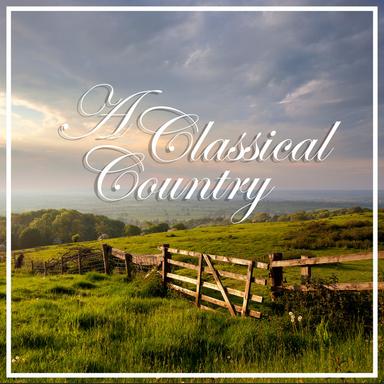 Fantasia in D Minor, K. 397 / K. 385g