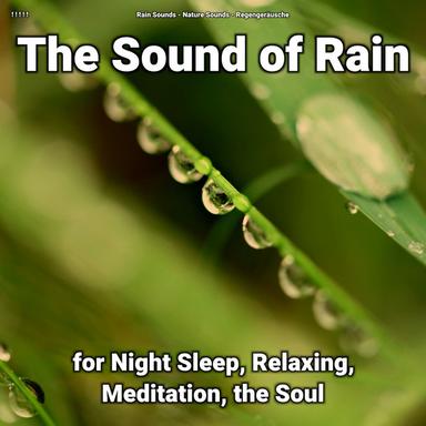 Becalming Ambient Sounds