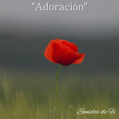 SÉ