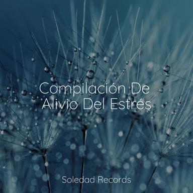 Tiempo Y Lugar En Tu Mente