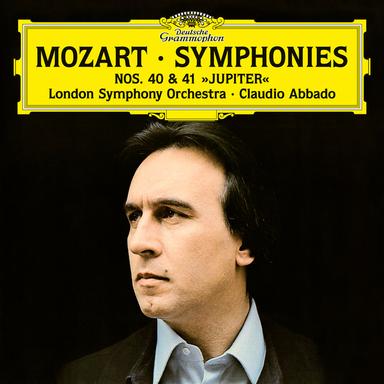 Symphony No. 40 in G Minor, K. 550 (1st Version, No Clarinets): I. Molto allegro
