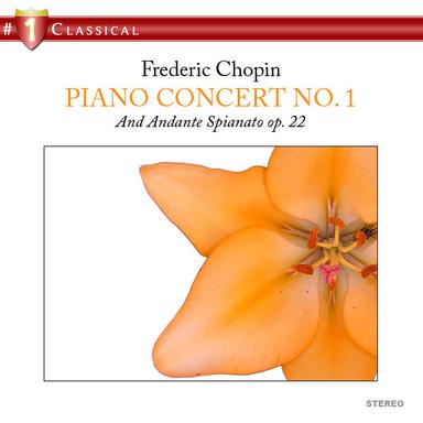 Concerto No. 1 in E Minor for Piano and Orchestra, Op. 11: II. Romance: Larghetto
