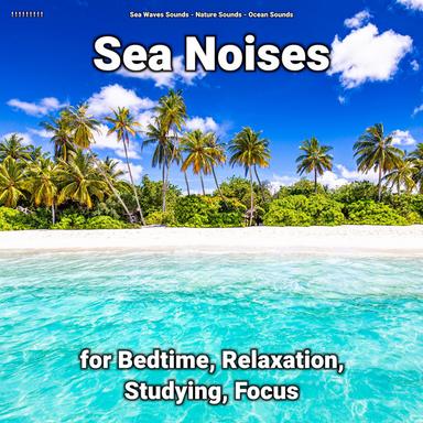 Relax Mind and Body