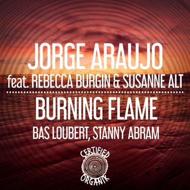 Burning Flame - Saxstrumental Mix