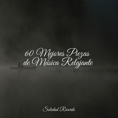 Rapsodia Vespertina