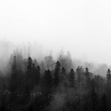 Drops of Heaven