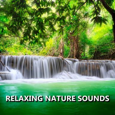 Spirited Garden Nature Sounds