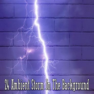 Birds And The Storm