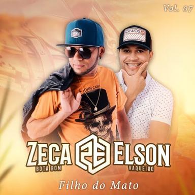 ZV