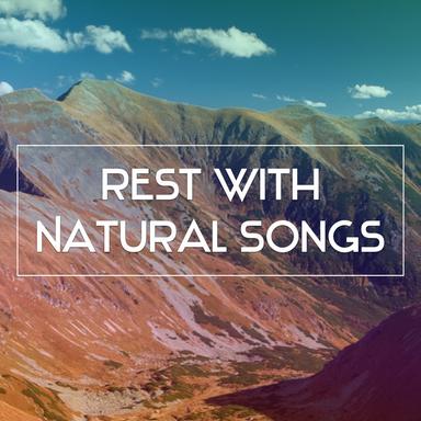 Meditation Sounds