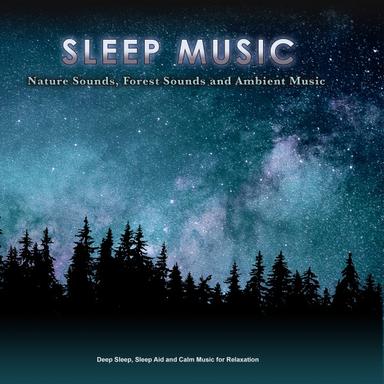 Sleep Music
