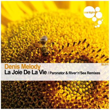La joie de la vie - Paronator Remix