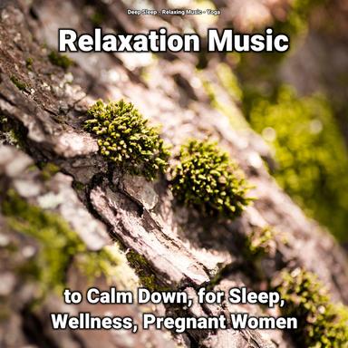 Pretty Meditation for Sleep