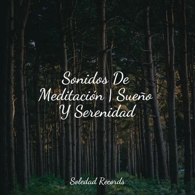Zen Eterno