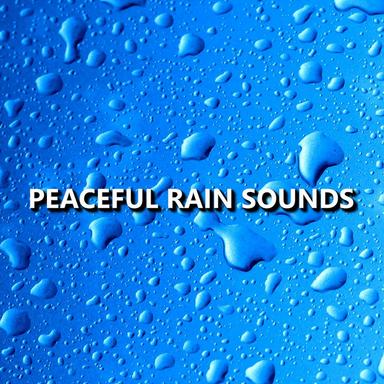 Select Nighttime Rain Sounds