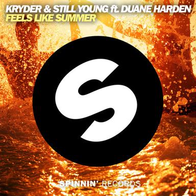 Feels Like Summer - Original Mix