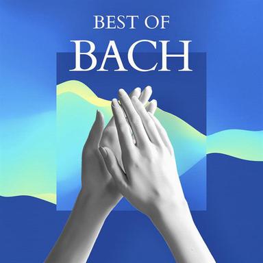 Violin Partita No. 3 in E Minor, BWV 1006: II. Loure