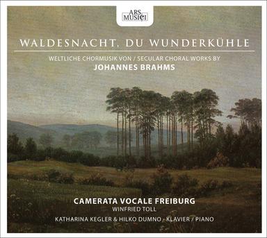 6 Quartets, Op. 112 (text by F.T. Kugler): No. 1. Sehnsucht