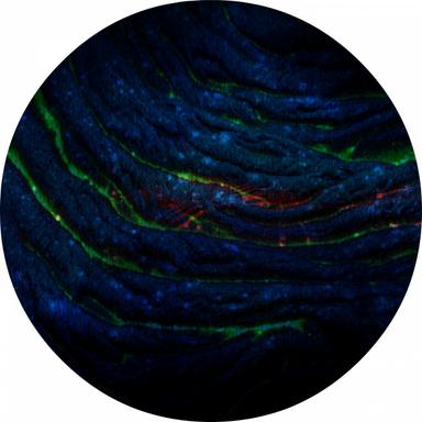 Nature - Bonab Remix