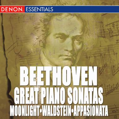 Sonata No. 14 "Moonlight", Op. 27: II. Allegretto Trio