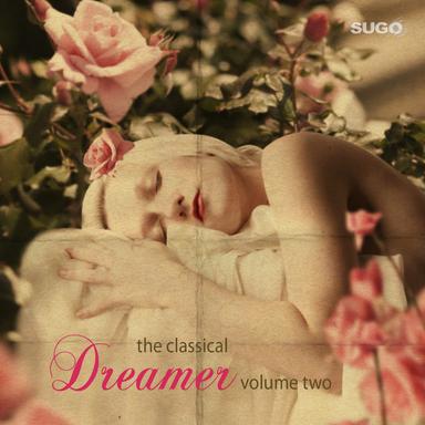 Sonata in D Minor K.32 (L.423): Aria|Gitana (Gypsy Woman)