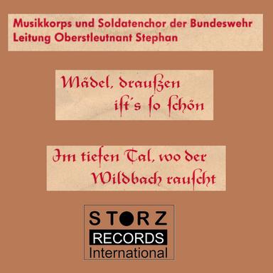 Im tiefen Tal, wo der Wildbach rauscht