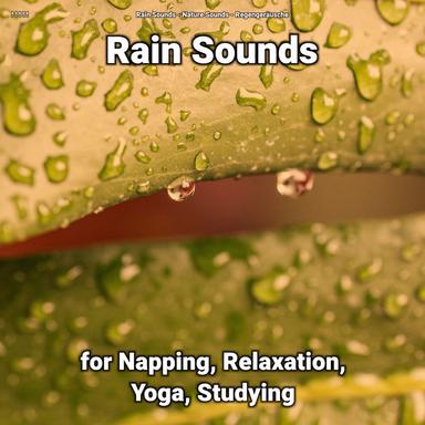 Ambient Rain for Sleep