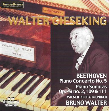Piano Sonata No. 32 in C Minor, Op. 111: I. Maestoso - Allegro con brio ed appassionato