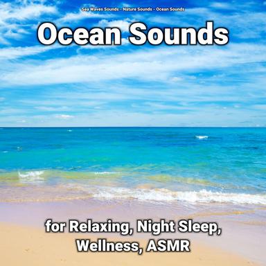 Calm Water Sounds
