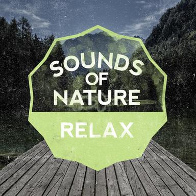 Peaceful Birdsong