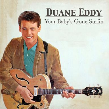 Your Baby's Gone Surfin'