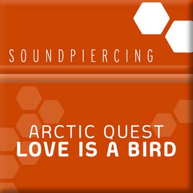 Love Is A Bird - Original Mix