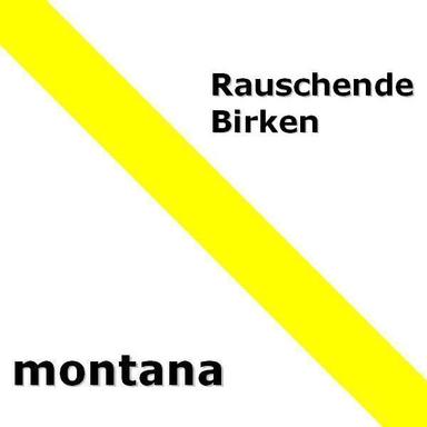 Rauschende Birken